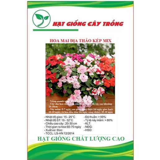 Hạt Giống Hoa Mai Địa Thảo Kép Nhiều Màu CT457 - Gói 20 hạt