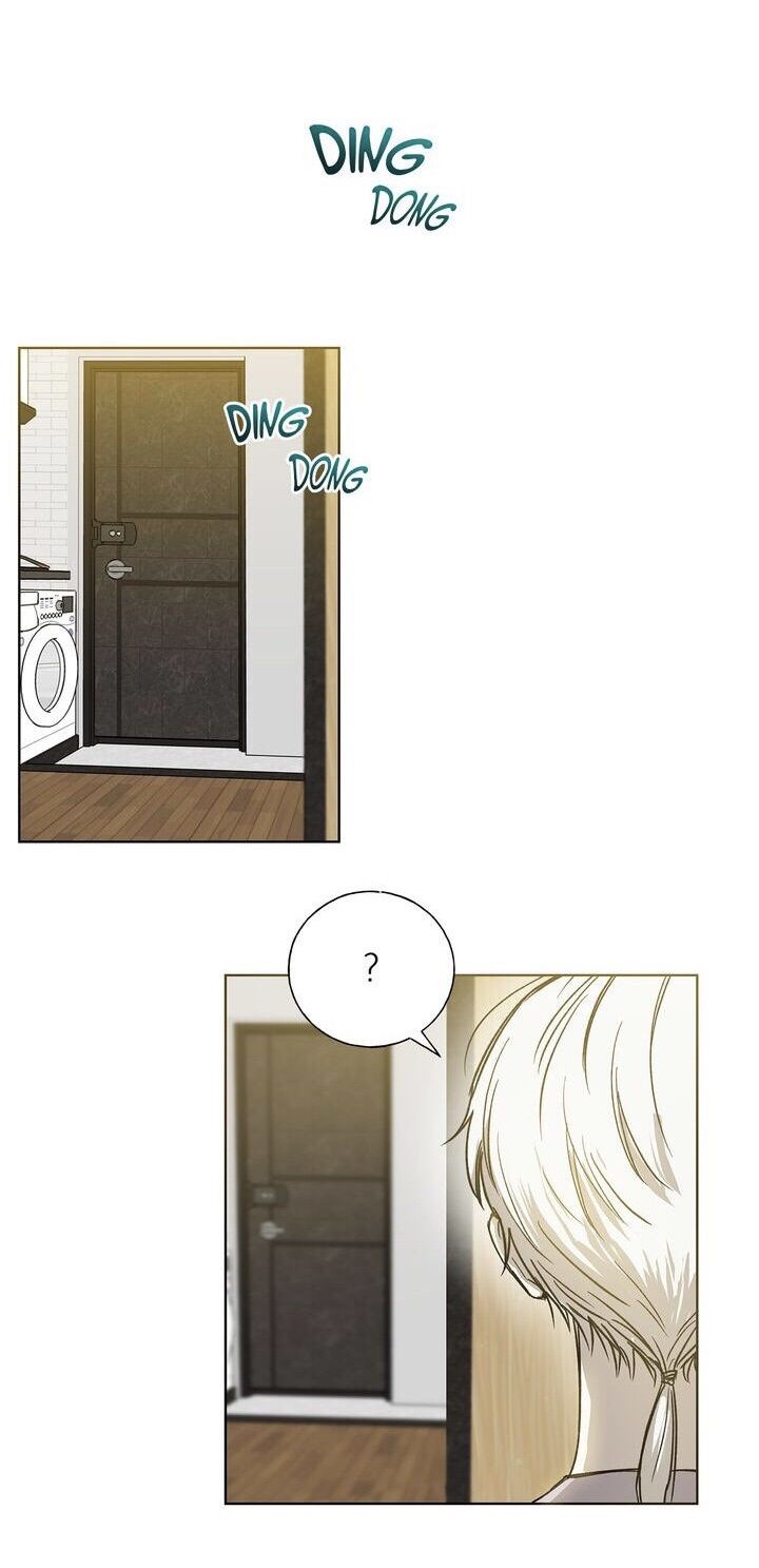 invitation of mystic messenger chapter 31 62