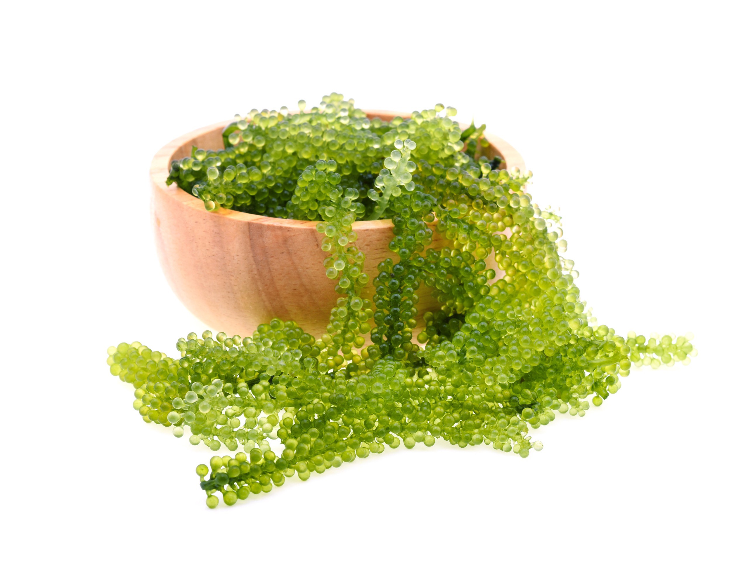 Rong nho tách nước-Thiên nhiên-Khối lượng 100G/Đặc sản nha trang/Dùng trộn salad/Ăn kèm với rau/Giàu chất dinh dưỡng