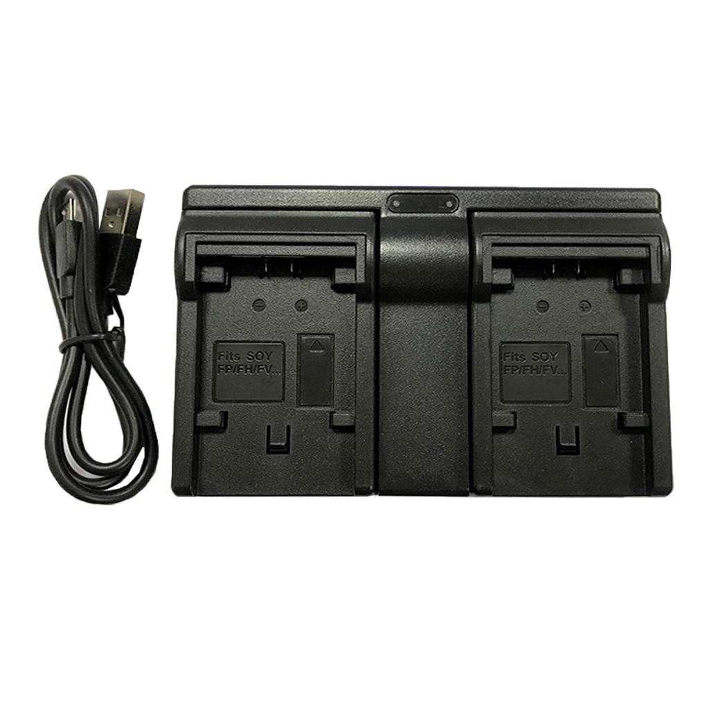 Camera Smart Charger Two-channel Charging Dock for NP FV100 Batteries