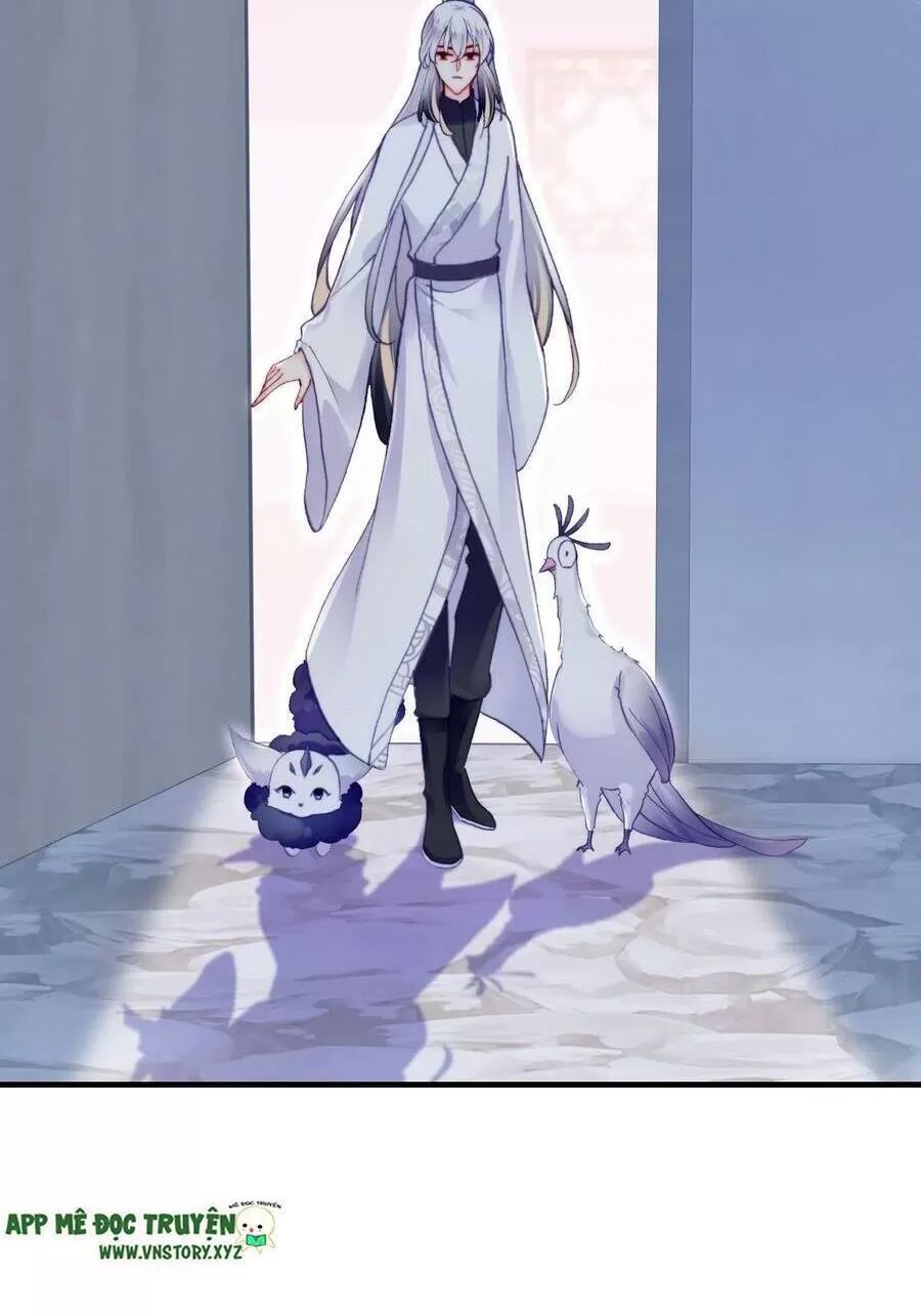 lại bị bệnh chiều chuộng quấn lấy chapter 71 59