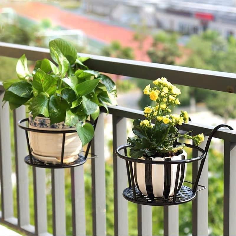 (Loại dày) 02 móc tròn treo hoa bằng sắt đặc sơn tĩnh điện có lưới đỡ chậu 22cm