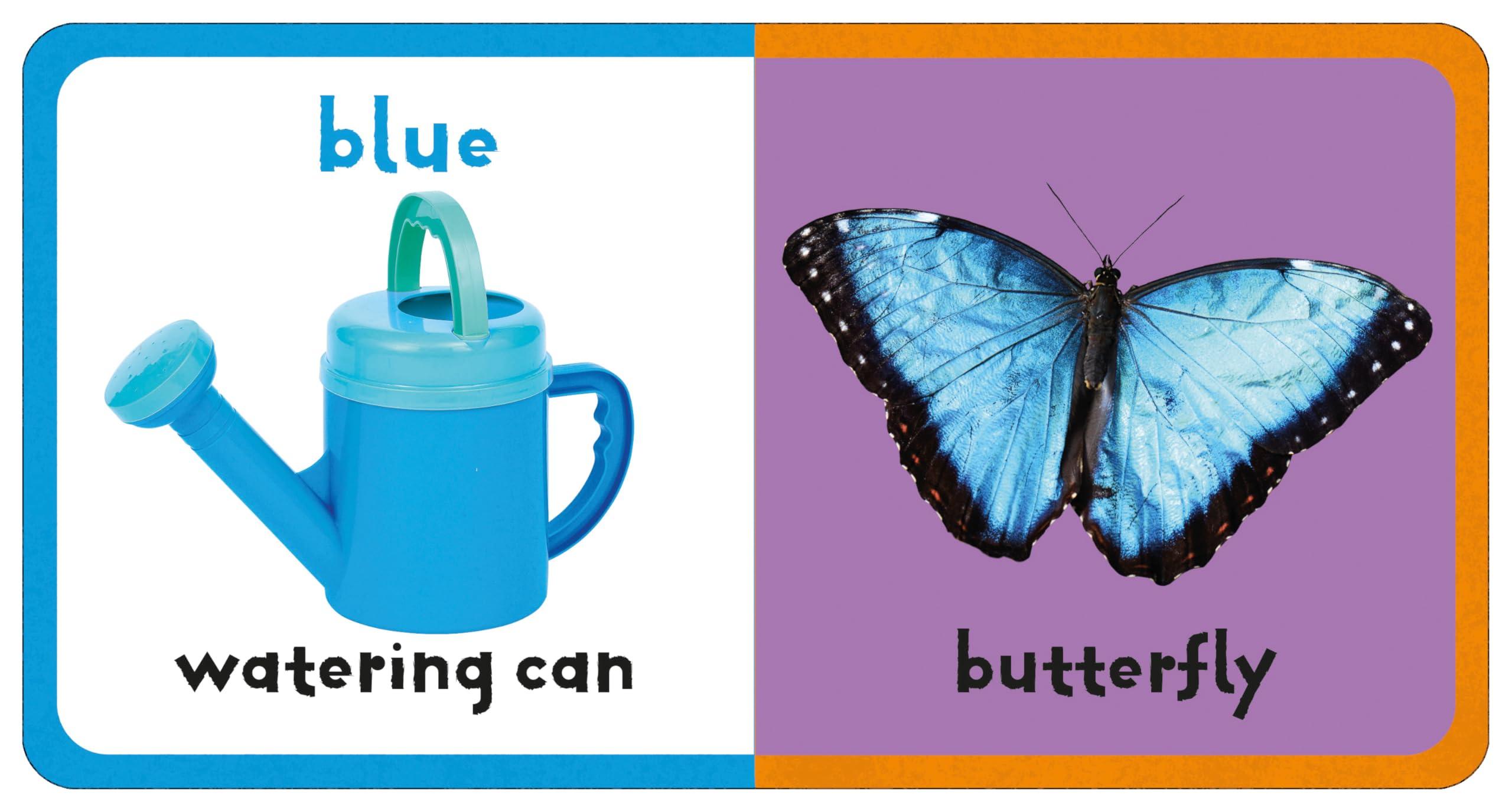 Sách ngoại văn: First Felt - Colours