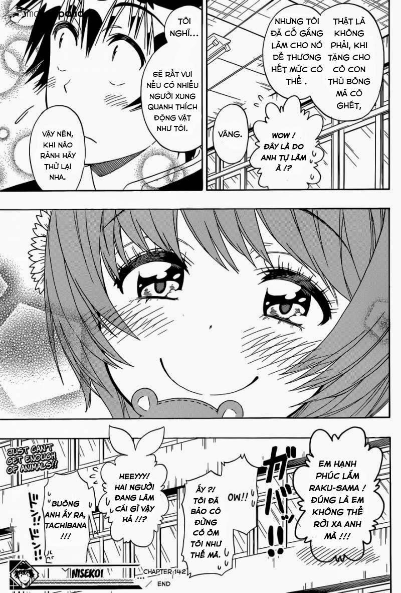 nisekoi - tình yêu giả tạo chapter 142 19