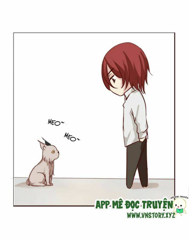 hồ tiên này không tin được chapter 7 20