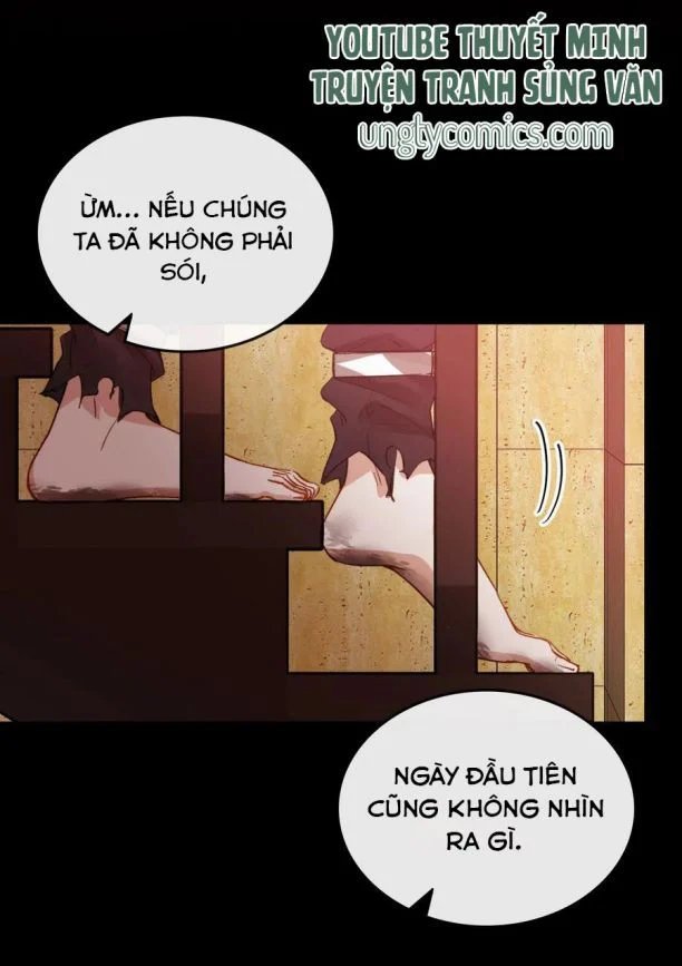 nụ hôn vực thẳm chapter 69 26