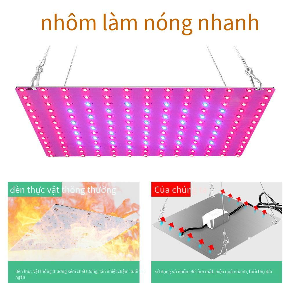 Đảm bảo chất lượng đèn led tăng trưởng thực vật bán chạy nhất trong nhà cây giống ánh sáng bổ sung đèn trồng cải cách hành chính toàn phổ tấm lượng tử đèn thực vật