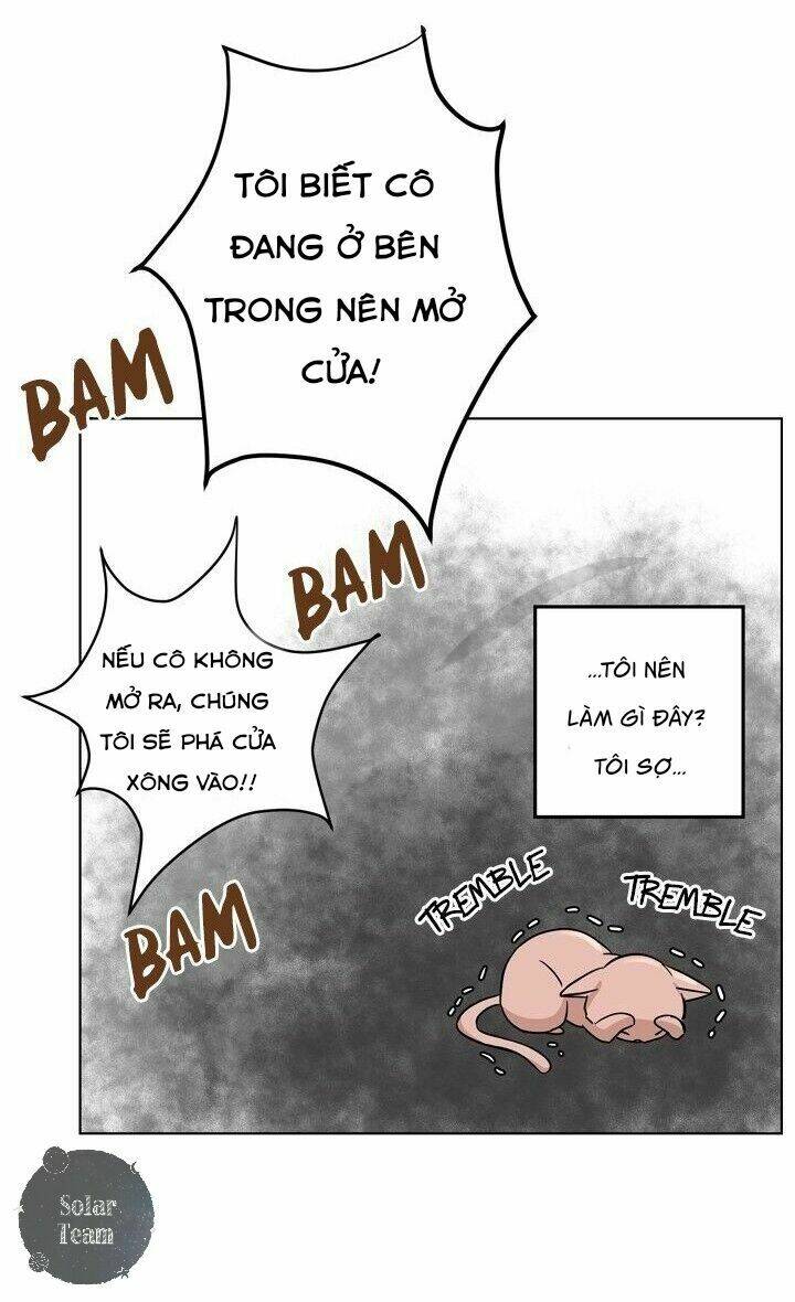 một cuộc sống kỳ lạ chapter 1 51