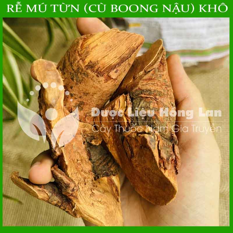 1kg Rễ Cây Mú Từn (Cù boong nậu) khô