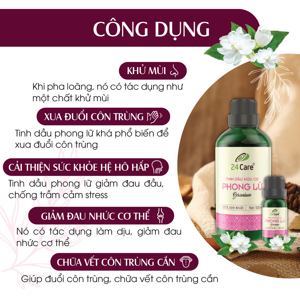 Tinh dầu Phong Lữ 24Care 10ml - Chiết xuất thiên nhiên, khử mùi, giảm căng thẳng, cân bằng cảm xúc.