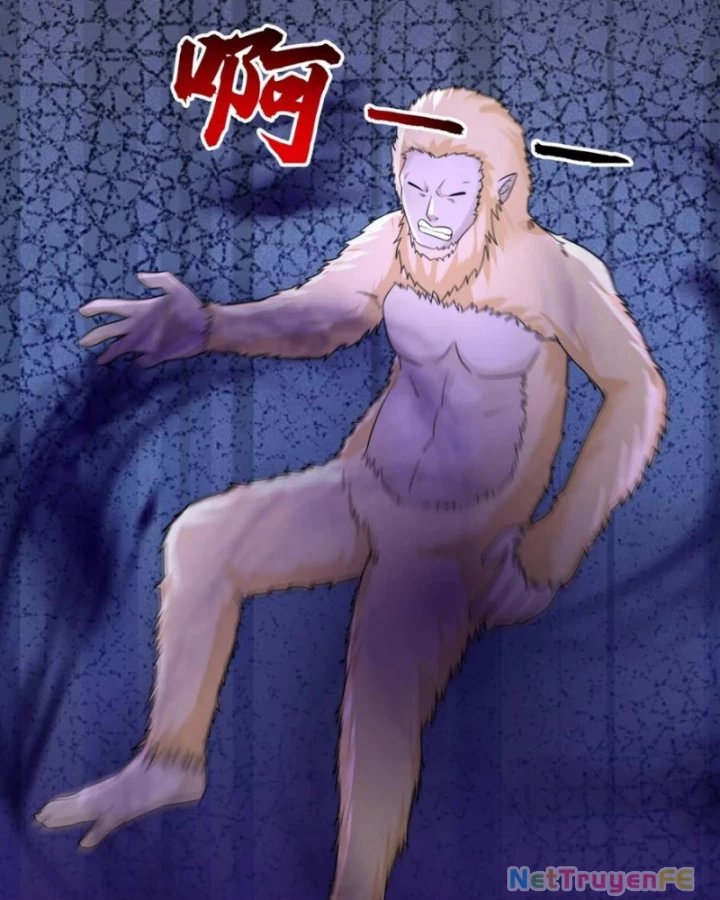 hỗn độn đan thần chapter 492 30