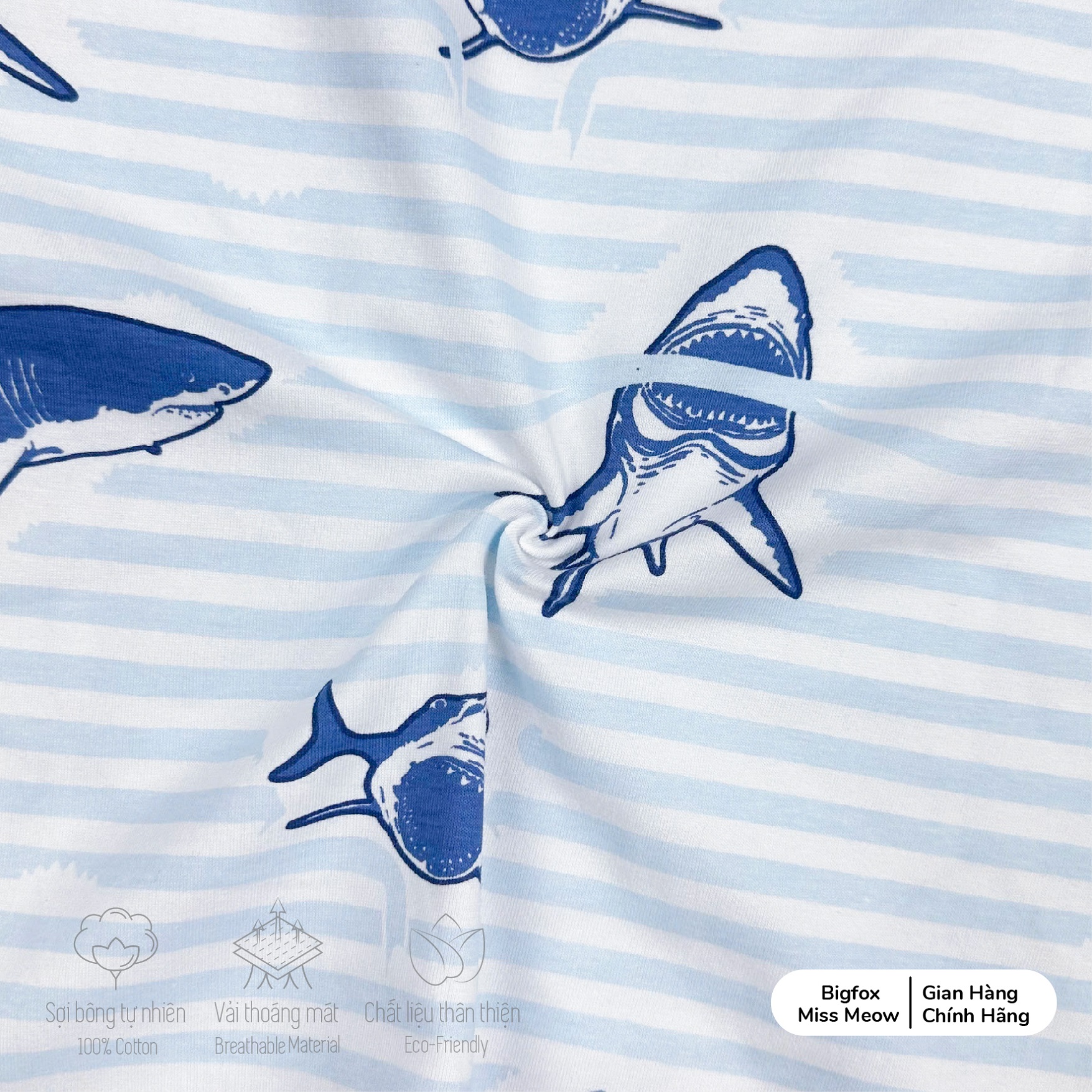 Bộ ba lỗ bé trai size đại Bigfox Miss Meow chất cotton in cá mập cỡ 3,7,9,11 tuổi 30kg 40kg