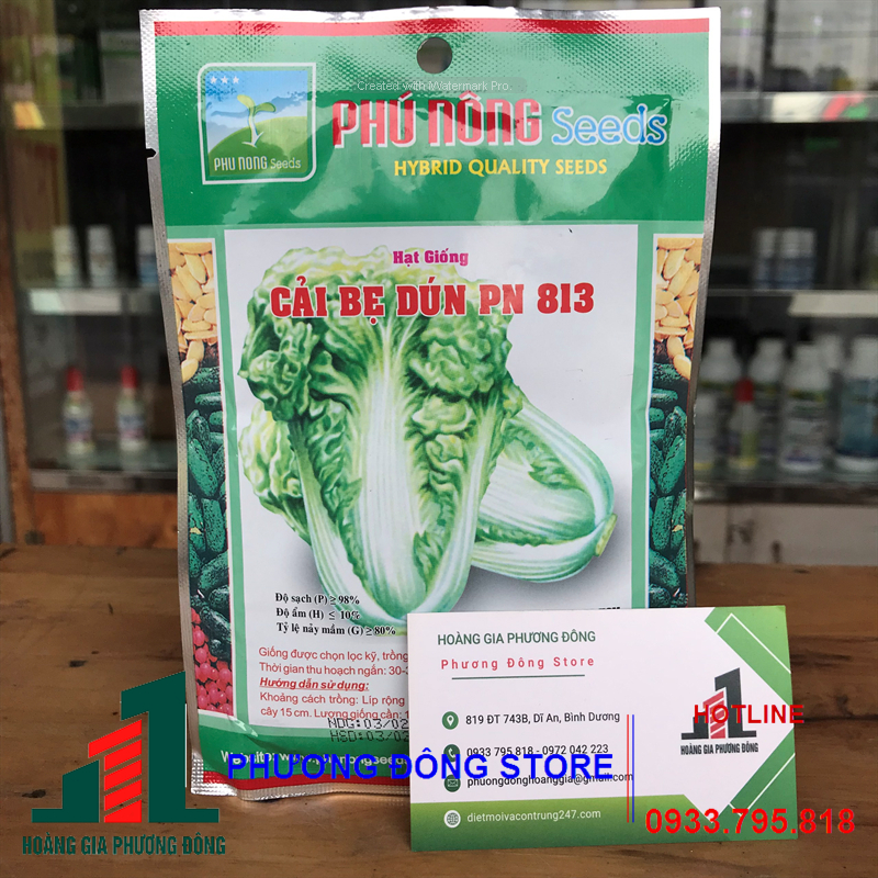 Combo 5-10 gói hạt giống Cải bẹ dún dễ trồng, năng suất cao
