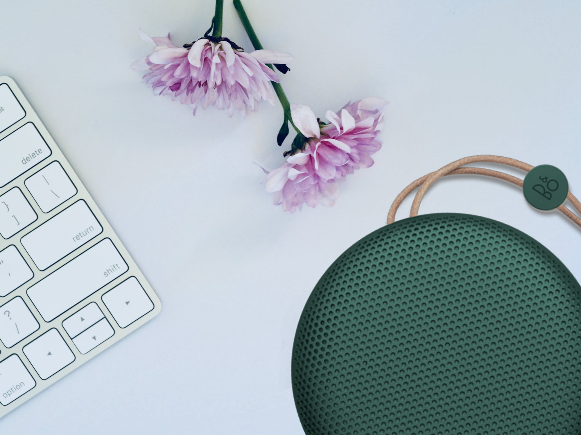 Loa Di Động Bluetooth Beoplay A1 Pine - Hàng chính hãng