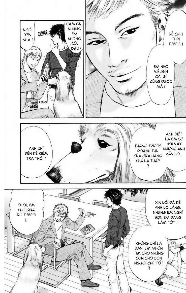 cô nàng yêu chó chapter 11 10