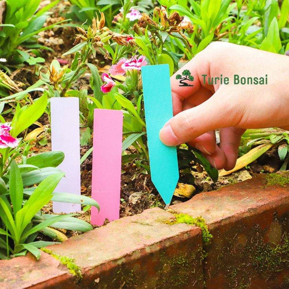 Thẻ ghi tên cây, thẻ tên bằng nhựa 11x2cm đục lỗ dùng để ghi chú tên các loại cây