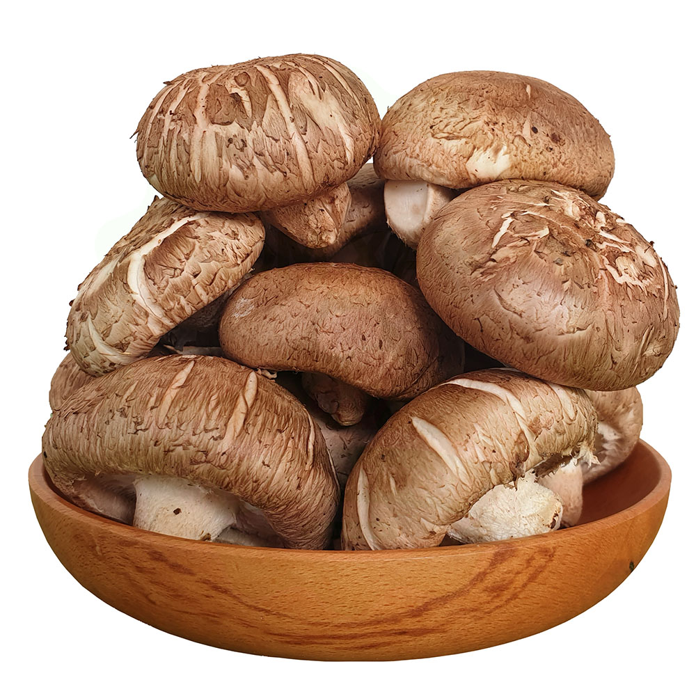 Nấm Hương Tươi 100gr 200gr 500gr - Nông Trại Nấm Xanh