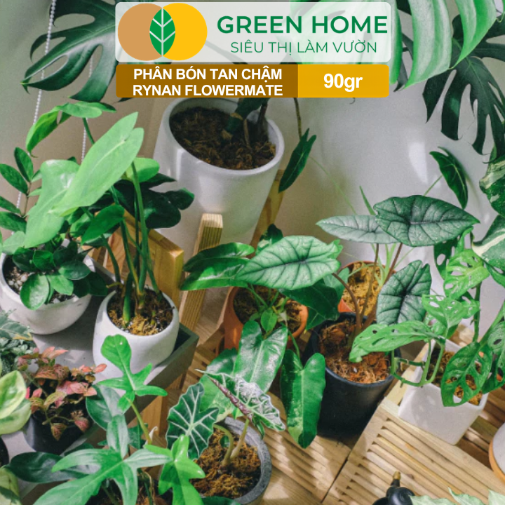 Phân Bón Thông Minh Rynan GreenHome, Túi 90gr, Giải Pháp Dinh Dưỡng Tan Chậm Cho Lan Và Cây Cảnh