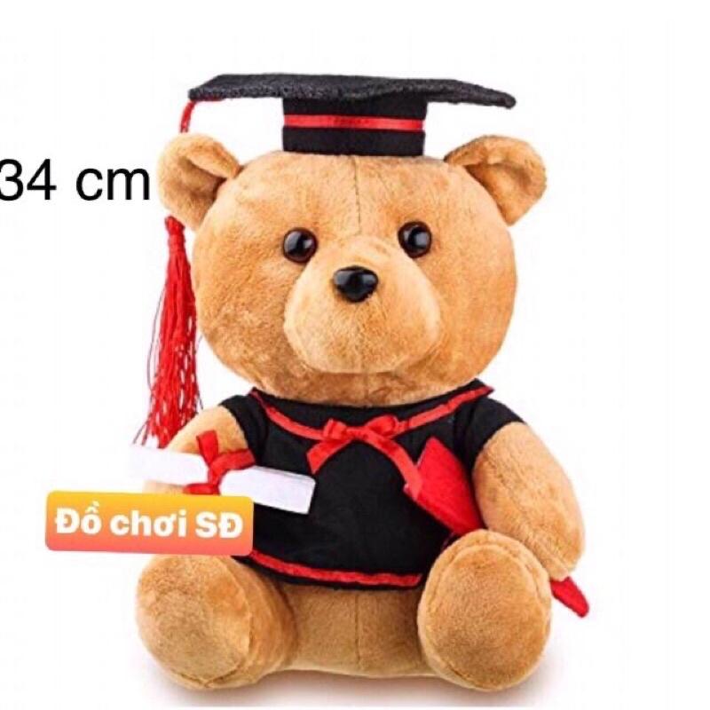 THÚ BÔNG GẤU TỐT NGHIỆP LỚN 34cm - gấu bông tốt nghiệp - quà tặng ngày tốt nghiệp