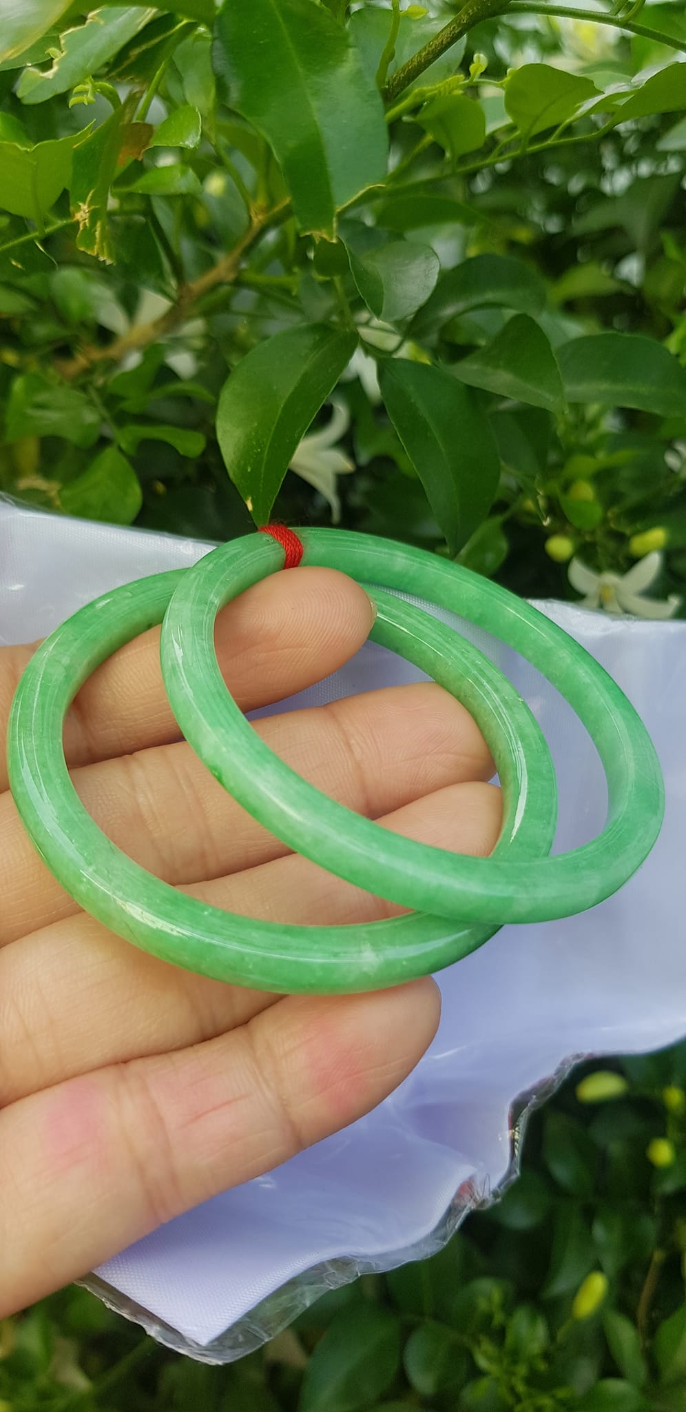 ️Cặp vòng tay đá ngọc cẩm thạch bản vuông V Đậu 50mm Size vòng 50mm x dầy 5mm x bản mỏng cao 5mm màu xanh lá ngọc đậu đều bóng đẹp Nữ Mệnh Mộc Hoả Thủy 49kg - 53kg đeo ạ