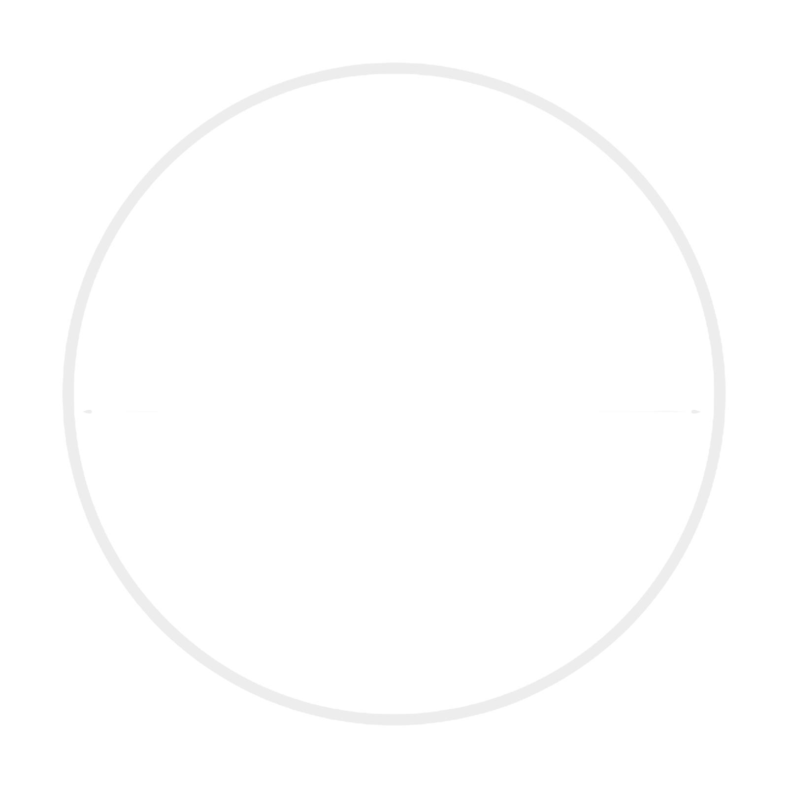 Balloon Circle Arch Stand Circle Round Backdrop Stand for Garden Party Decor