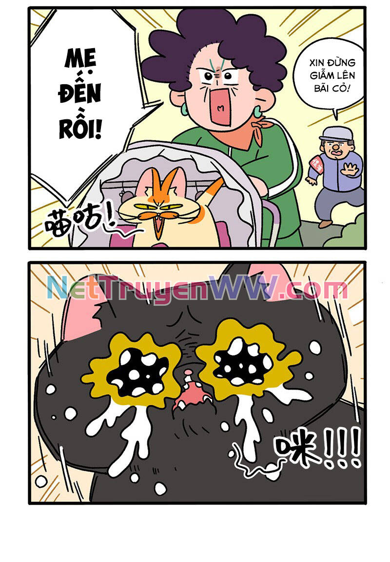 a mãn và mạch trà chapter 45 4