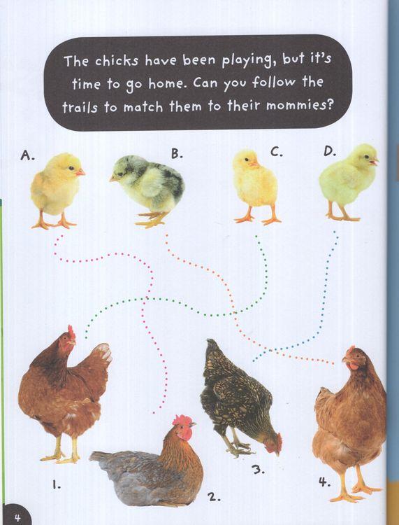 Sách ngoại văn: Farm Sticker Activities