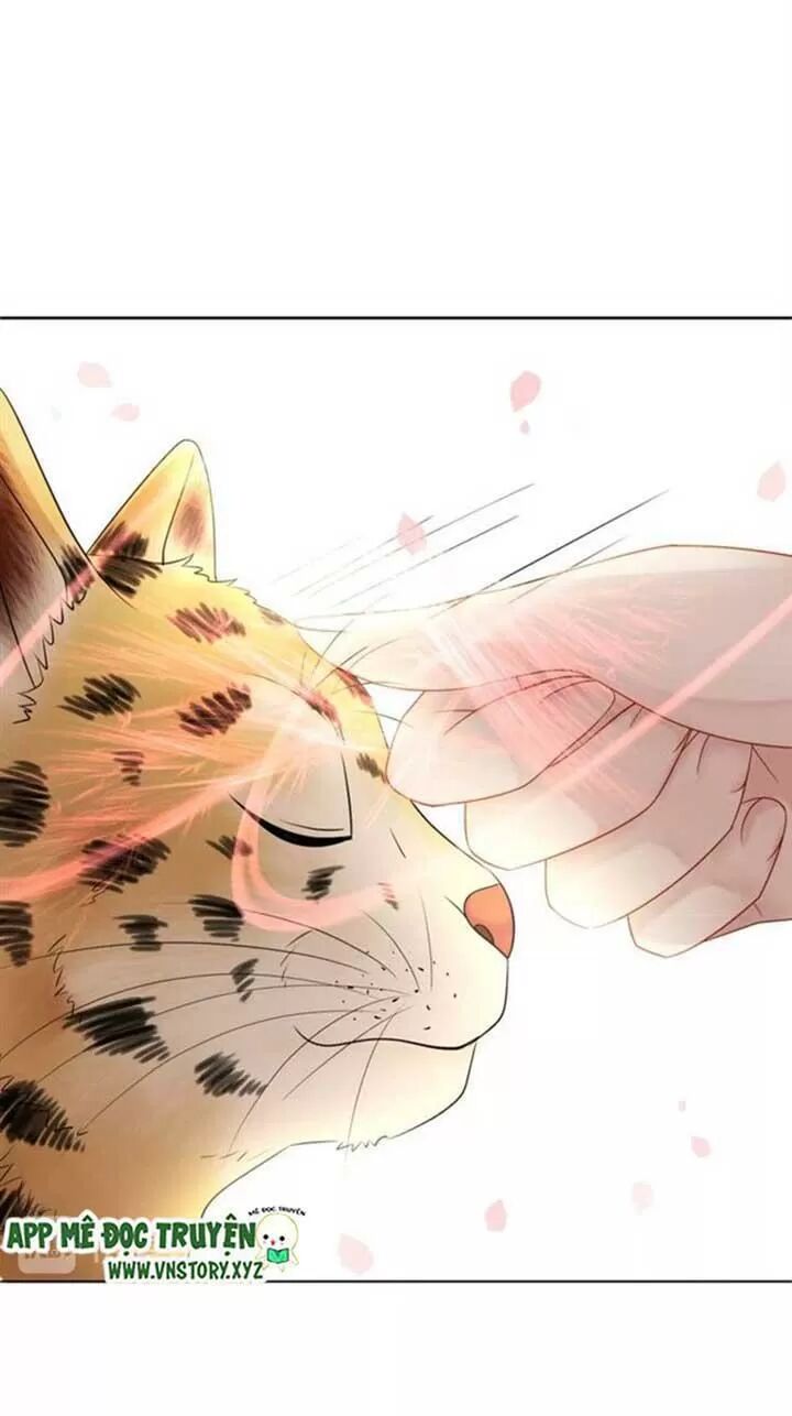 cực phẩm phế vật tiểu thư chapter 61 35