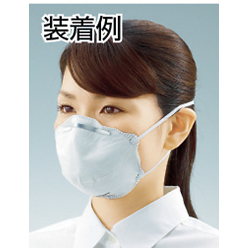 Khẩu trang chống bụi mịn Trusco TR3100B