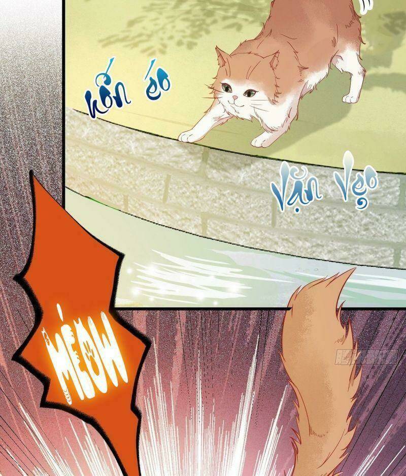 sát thủ vương phi không dễ chọc chapter 37 14