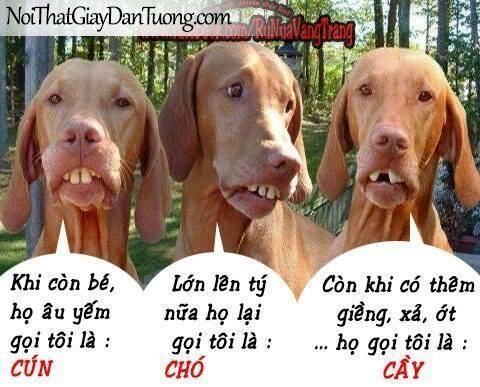 just troll chapter 6 25