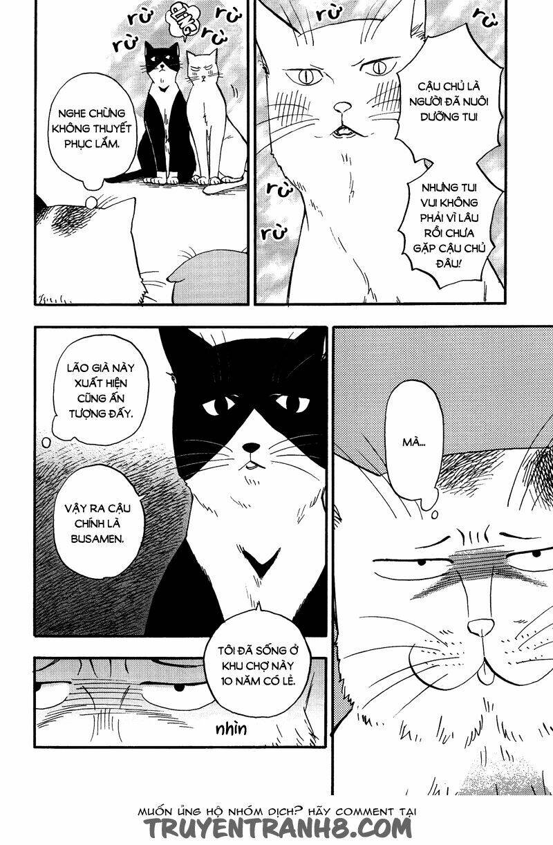 tui là busamen! chapter 4 3