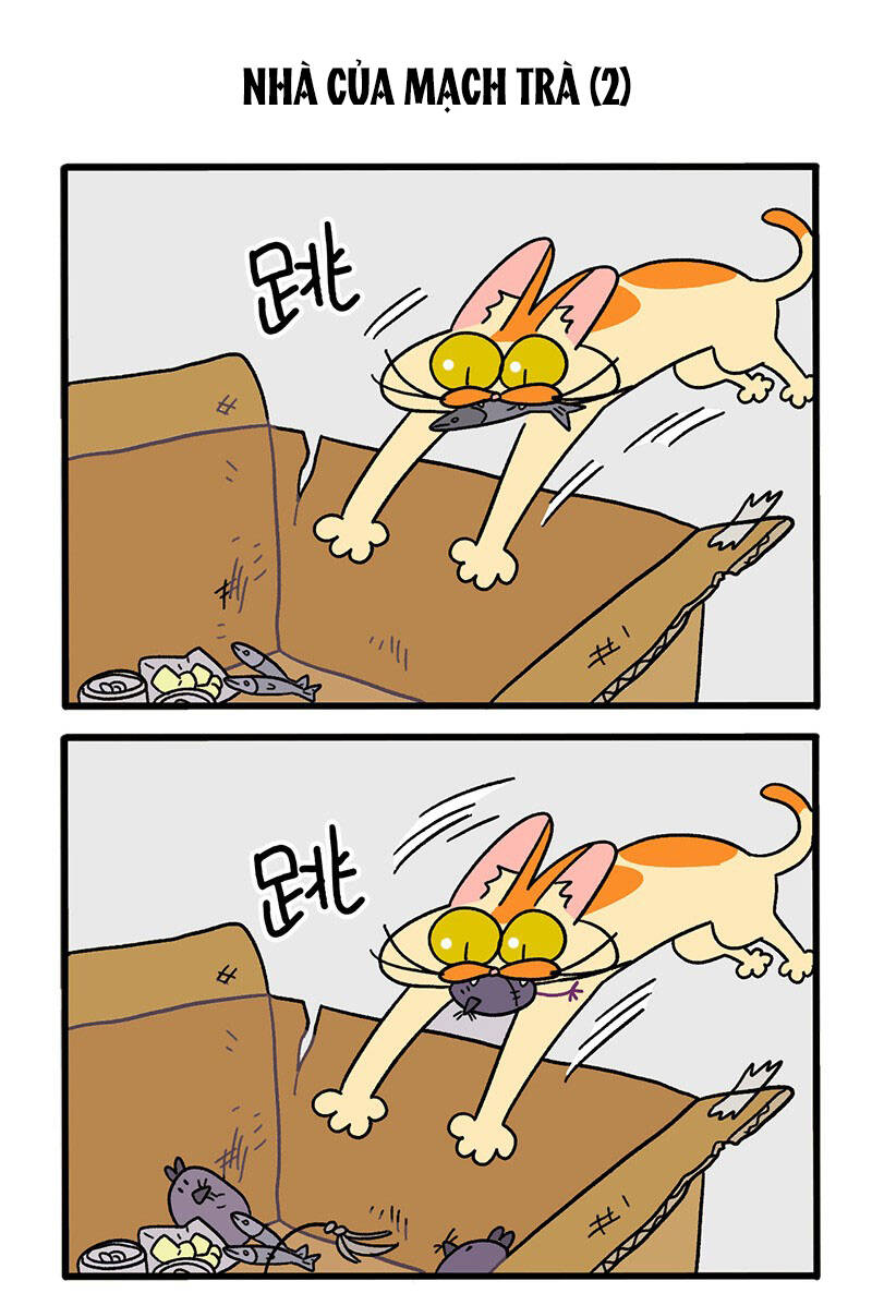 a mãn và mạch trà chapter 30 3