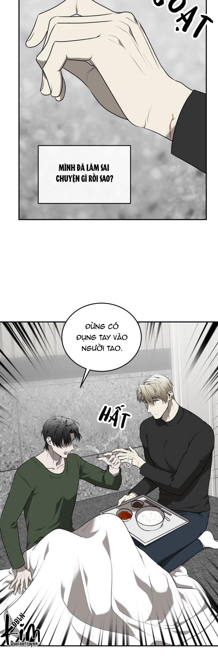 dưỡng thú cưng chapter 31 39