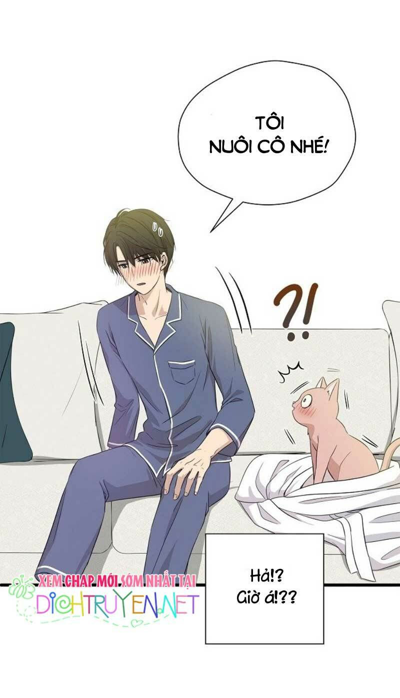 cuộc sống kỳ thú chapter 2 47