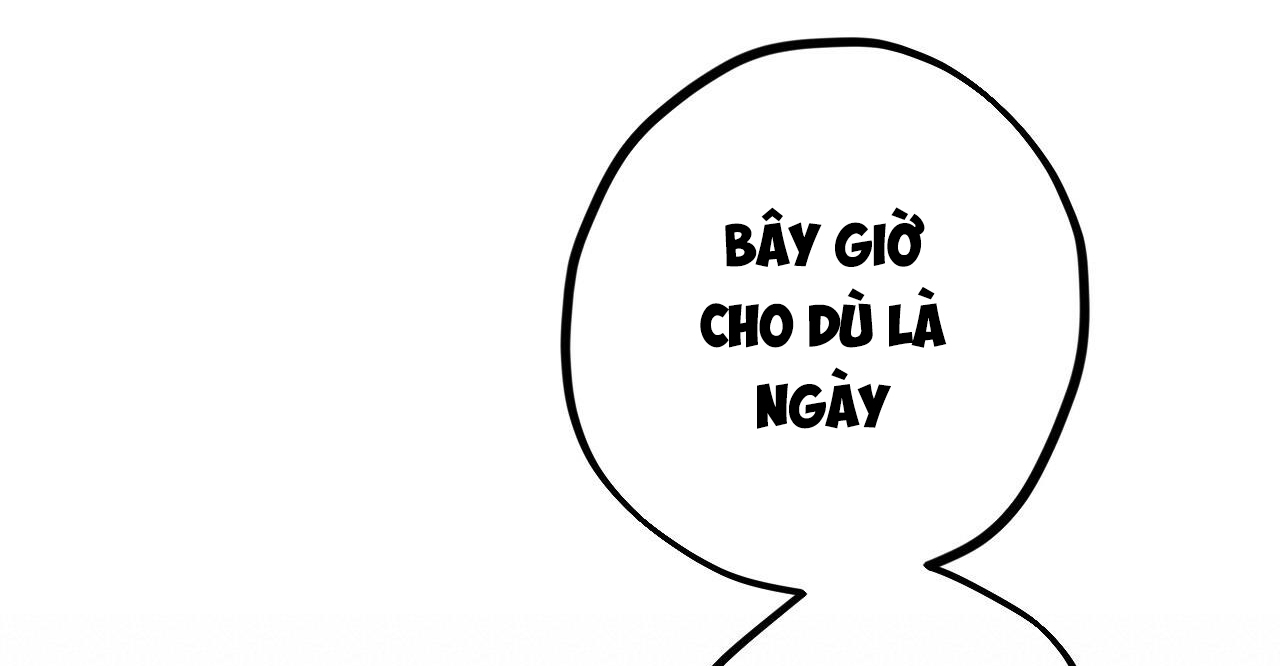 đàn thỏ của habibi chapter 38 252