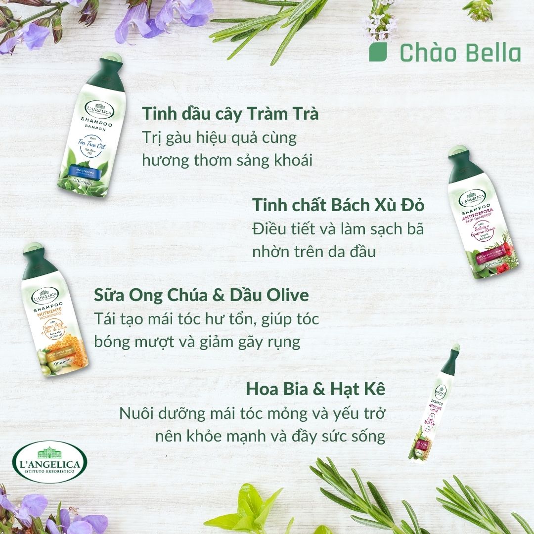 Dầu Gội Làm Sạch &amp; Ngăn Ngừa Gàu Tinh Chất Cây Xô Thơm &amp; Bách Xù Đỏ L'angelica Shampoo Anti-dandruff 250ml