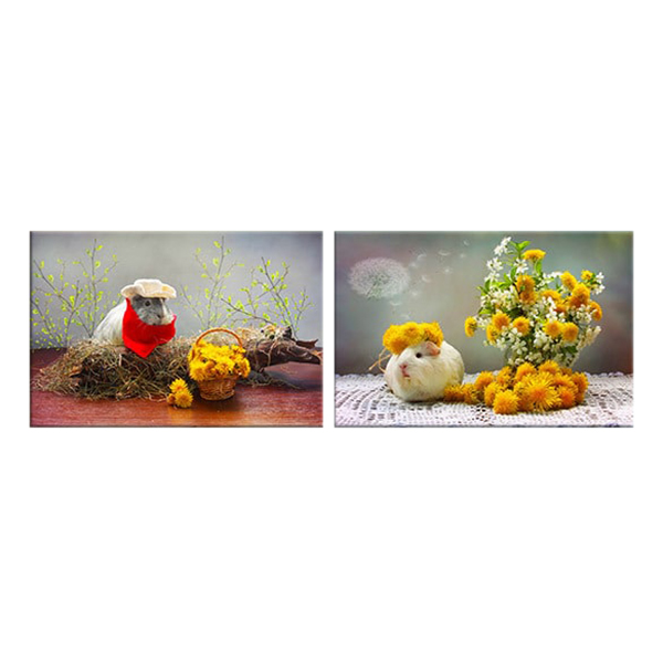 Bộ 2 Tranh Trang Trí Chuột Hamster Và Hoa Cúc - W359