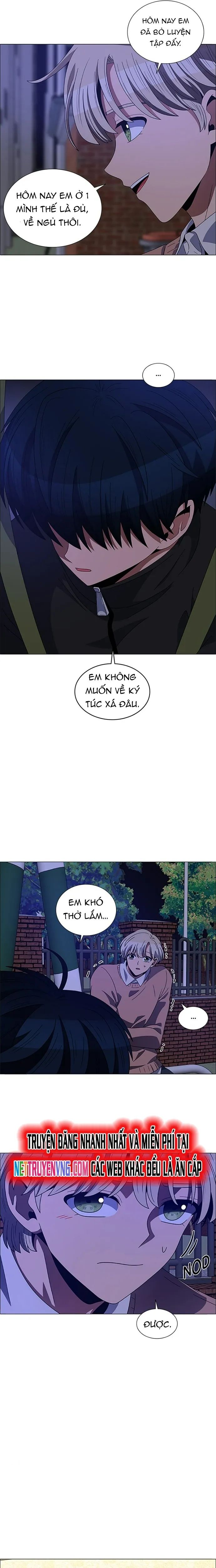 no scope chapter 156 6