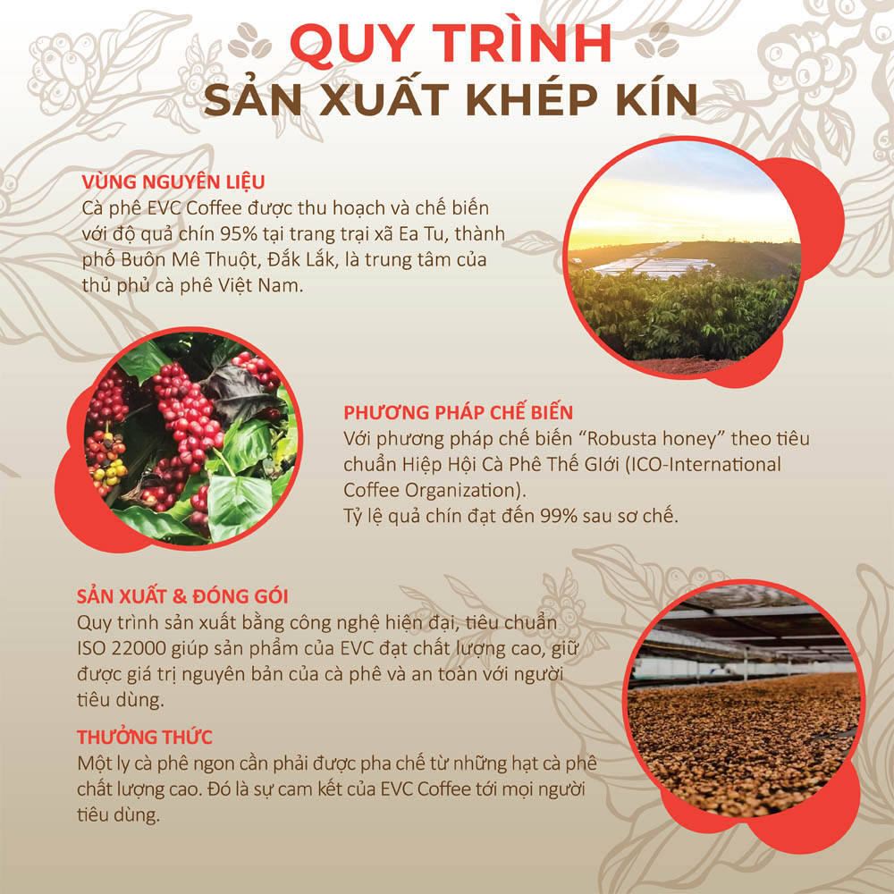 Cà phê hòa tan 3in1 - EVC Blendy Nature - Gấp đôi vị cà phê