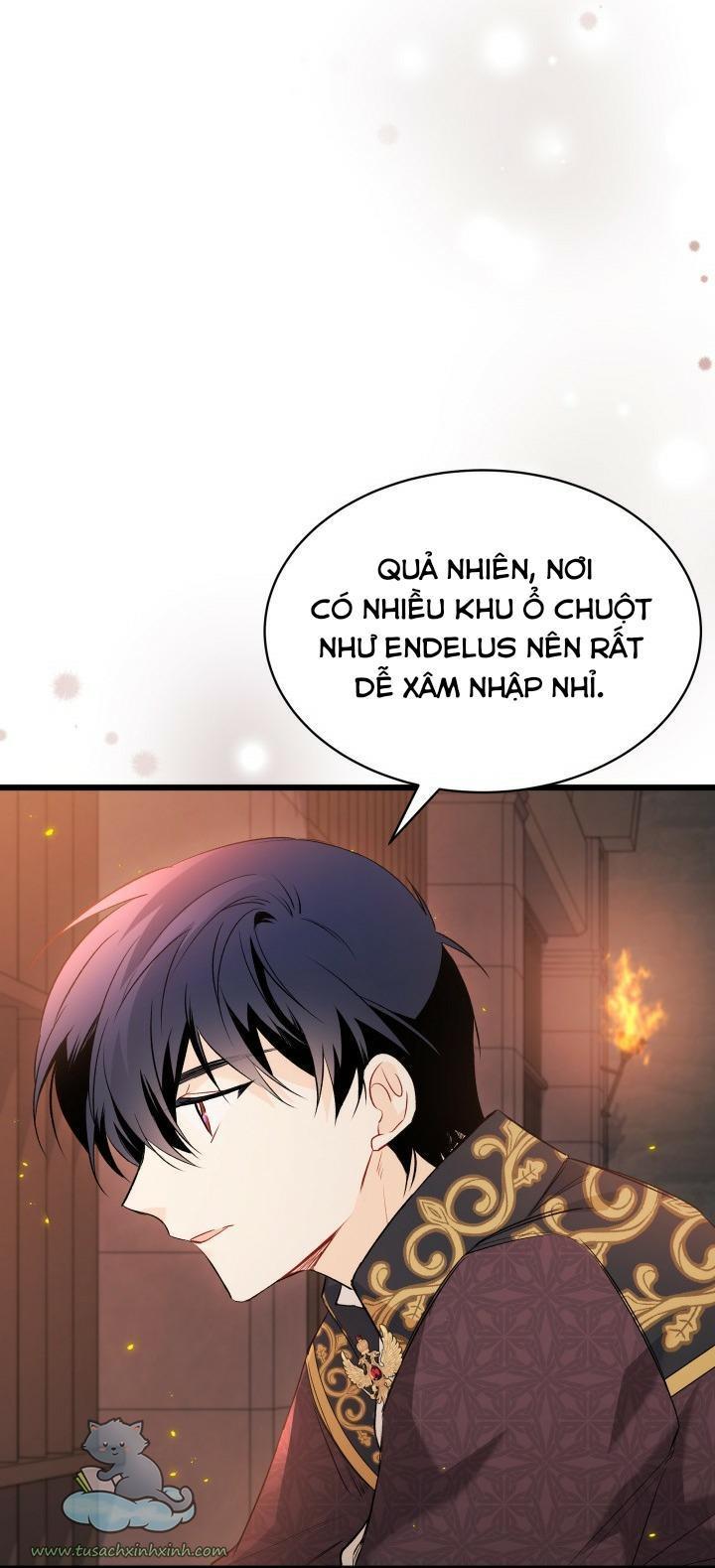 quan hệ cộng sinh giữa báo đen và thỏ trắng chapter 57 33