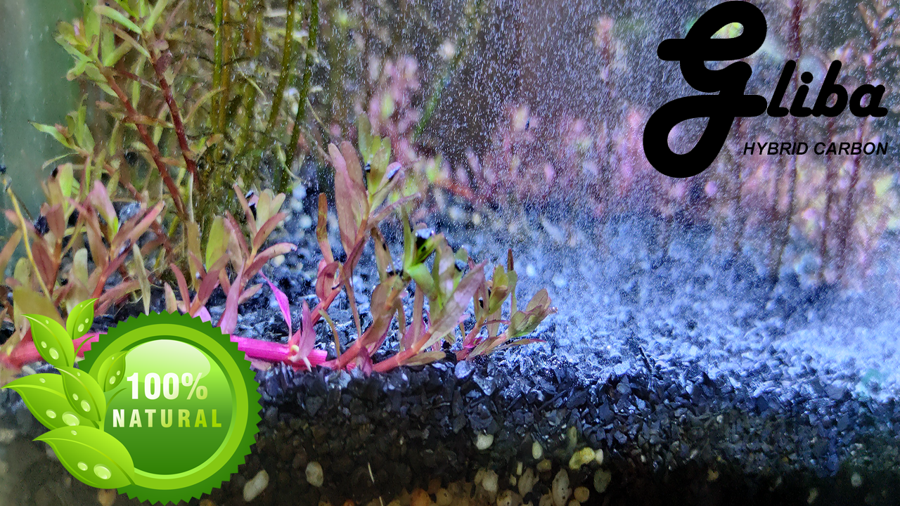 Than lai Gliba 250gram