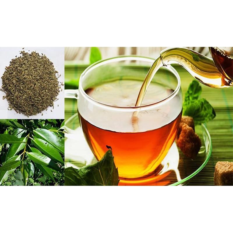 Cây lá vối nếp giống