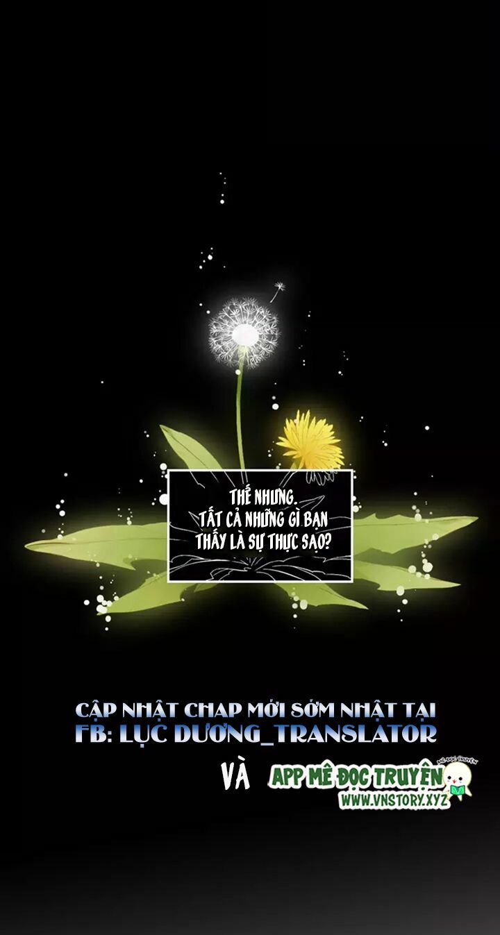 Tình yêu là màu hoa anh thảo chapter 31.1 30