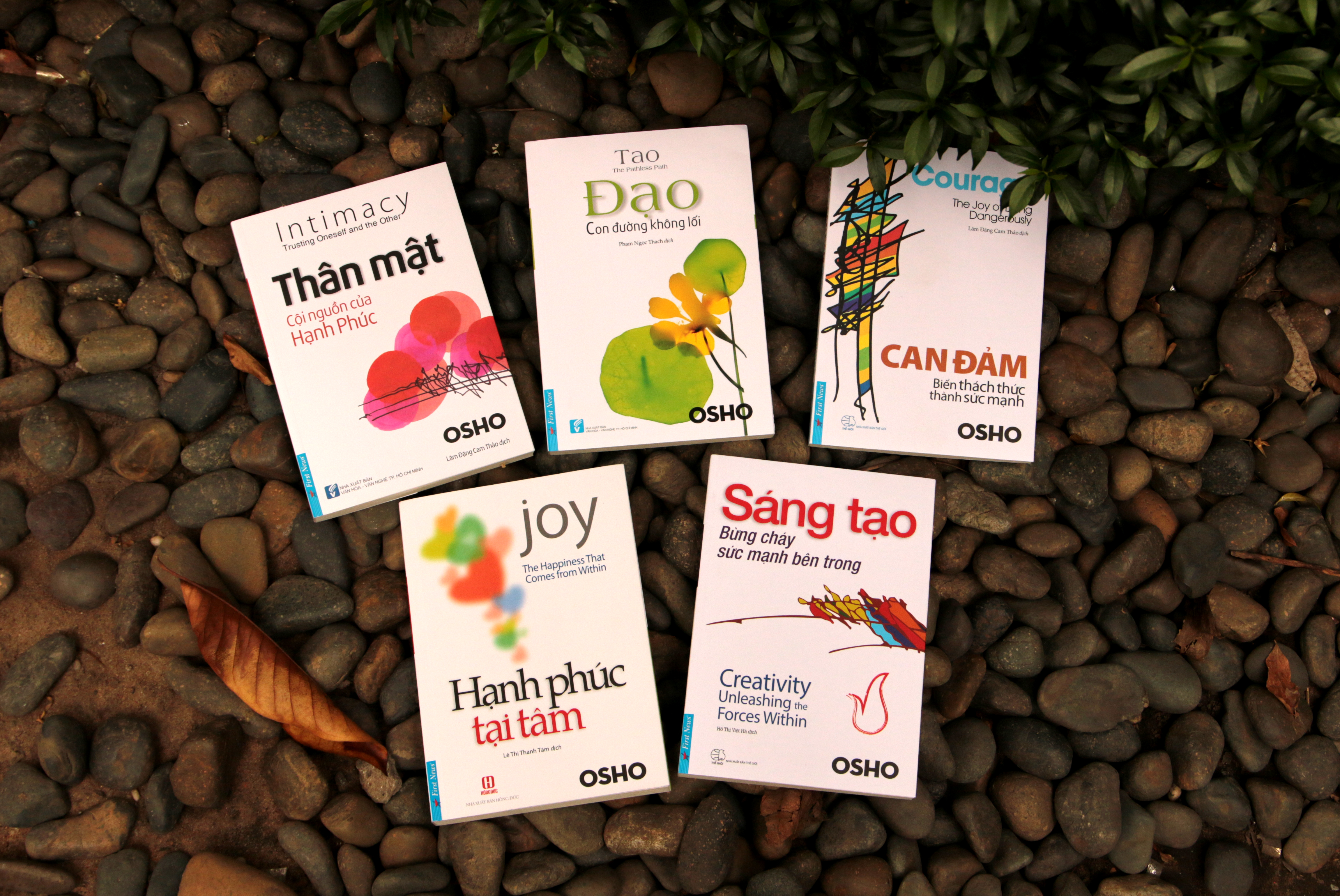 Combo Tác giả OSHO