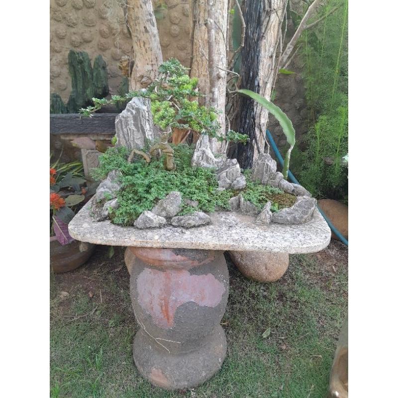 Khây trồng cây bonsai- núi đá trồng cây