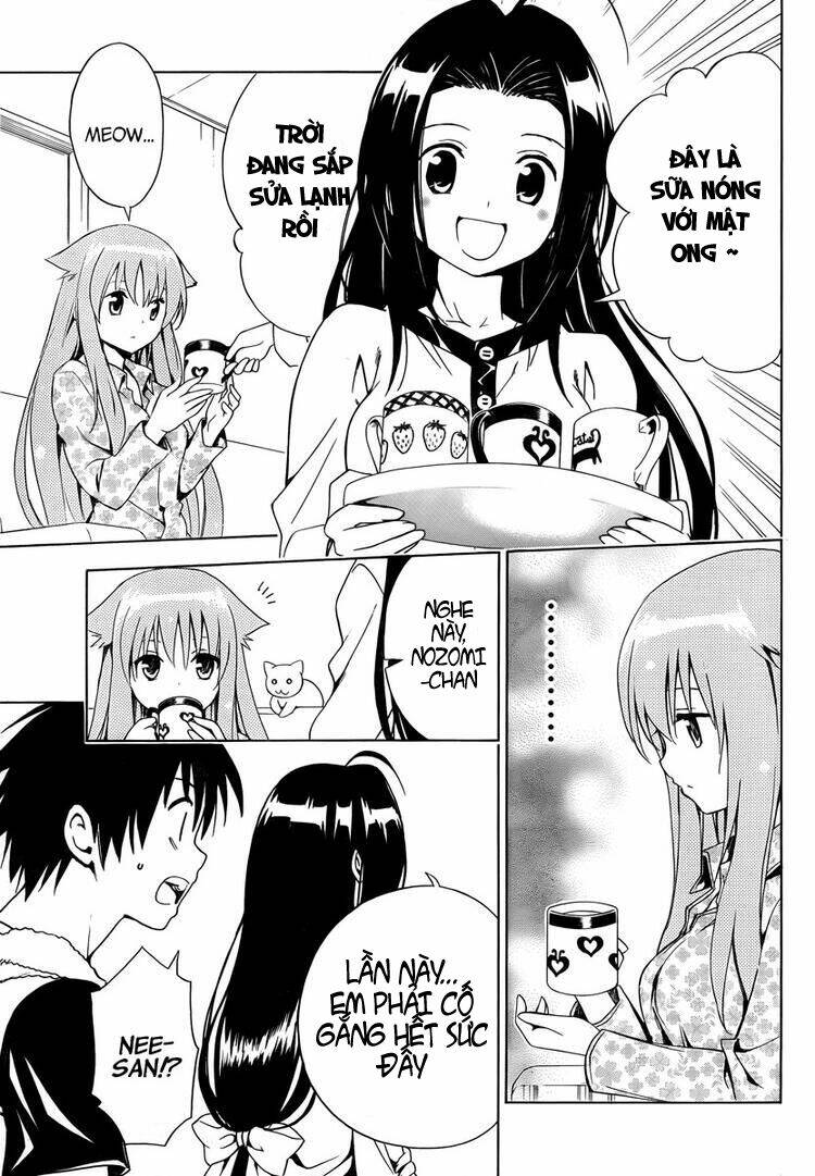 mayoi neko overrun! chapter 6 29