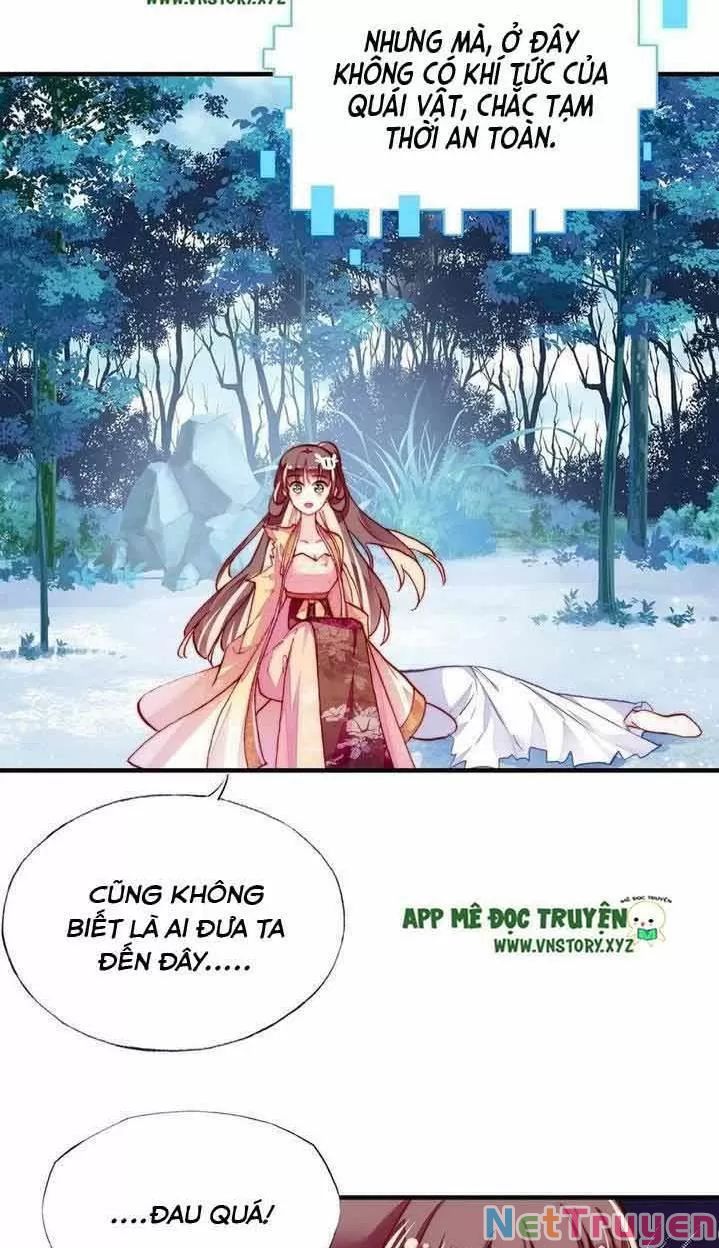 lại bị bệnh chiều chuộng quấn lấy chapter 14 36