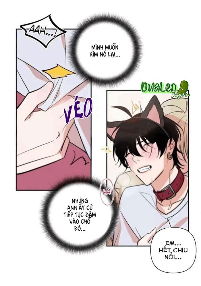 người tình dâm đãng của tôi chapter 30.5 3