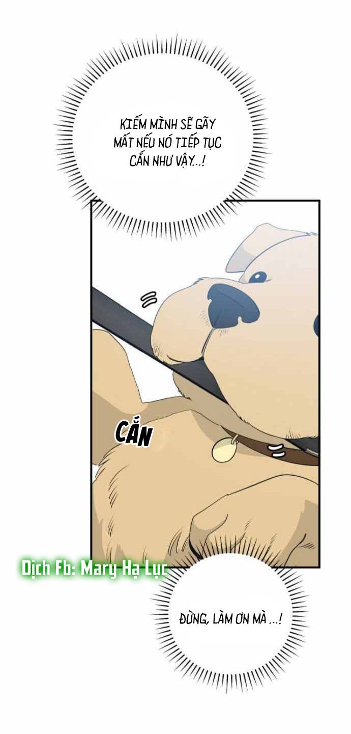 ngài kỵ sĩ, xin hãy cứu tôi! chapter 8 51